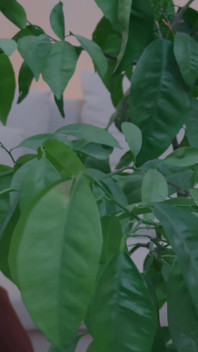 Busty MILF's Secret Garden: Plant Care Turns Into Pussy Play... Door Opens!
