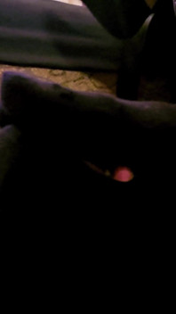 Sheela Sinner, a footstool sweet smelly shoes sweaty socks