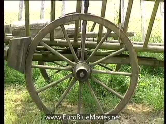 Euro Blue Movies: DBM Wet69 11 - Fantastický výlet (1990)
