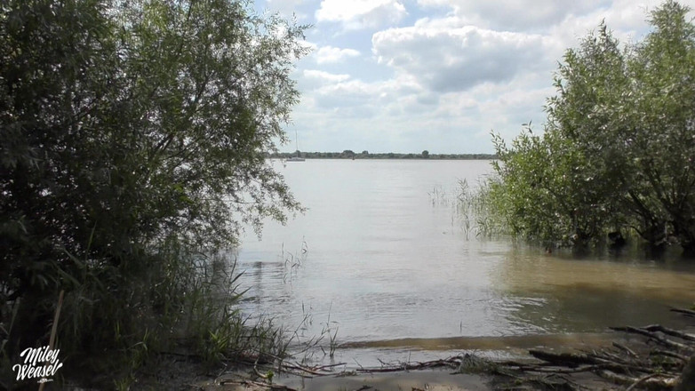 Miley Weasel: 안 돼!! 내 보지에 모든 것을 사정하는 사진작가!!