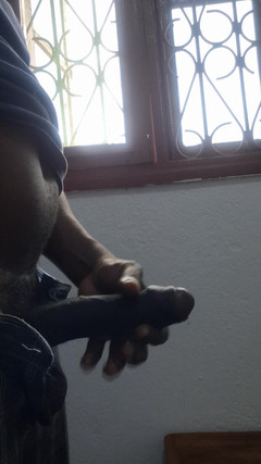 Bumba: El mejor de todos los tiempos