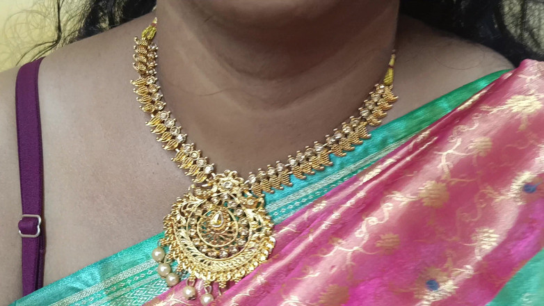 Laxi ammu: साड़ी पहनती घर की पत्नी