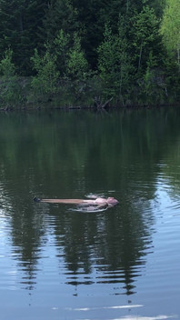 Pervert, You Looked at Me