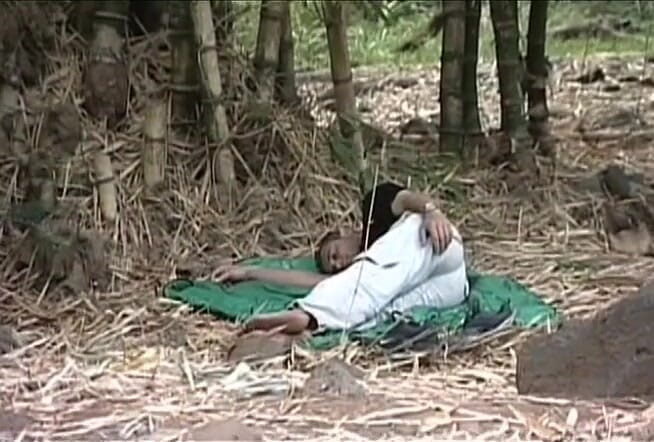 Lesbo Tube: Lésbicas lascivas lambendo na natureza