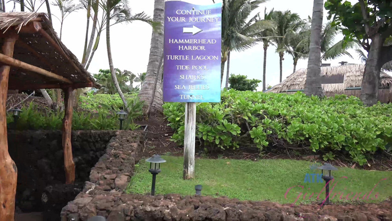 ATK Fans (Girlfriends): Virtual Vacation on Hawaii with Demi Lopez Part 9