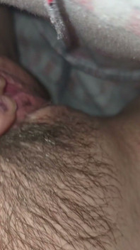 Hairy Pussy