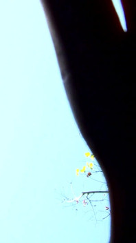 Montse Swinger: Cleaning the Camera Lens