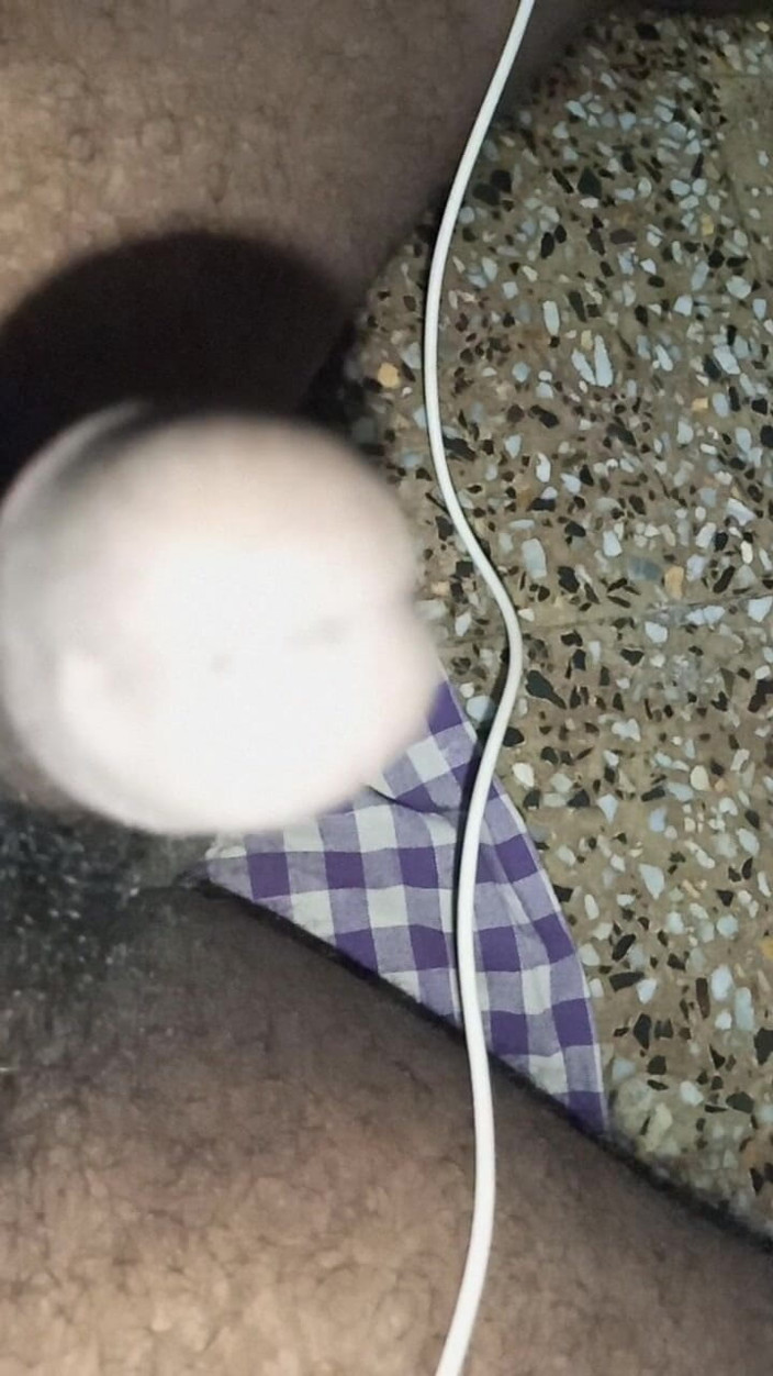 Sweet Indian cock: Masturbation