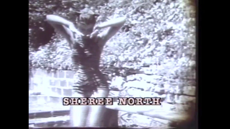 The Unforgettable: The Slut Dancer