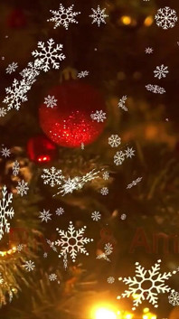 クリスマスの家族写真撮影がムラムラする