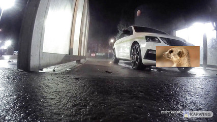 Lingeriemanx69: Myčka aut v punčochách 1