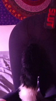Slap Ass