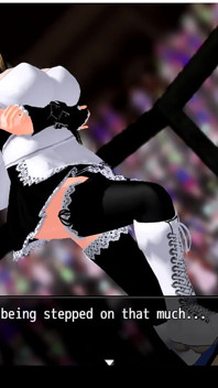 Ultimate Fighting Girl 2 Sherri Hard and Ultimate(boko877)