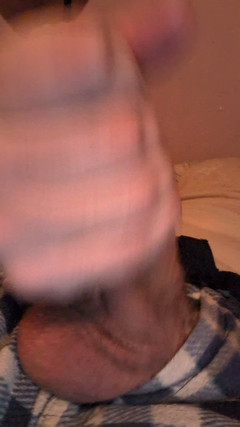 Mr Dimples: おはよう、ワンク!