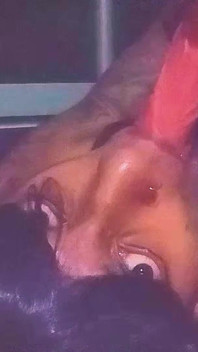 Solo una cara bonita con un coño para la boca