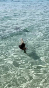 Monika Fox înoată în Marea Caraibelor și pozează goală pe recife