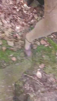 Mi novia musulmana enseña su coño fuera, en el parque.