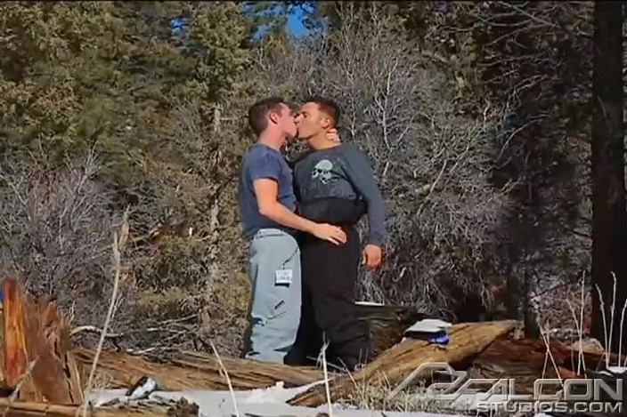 Falcon Studios: Winter Heat