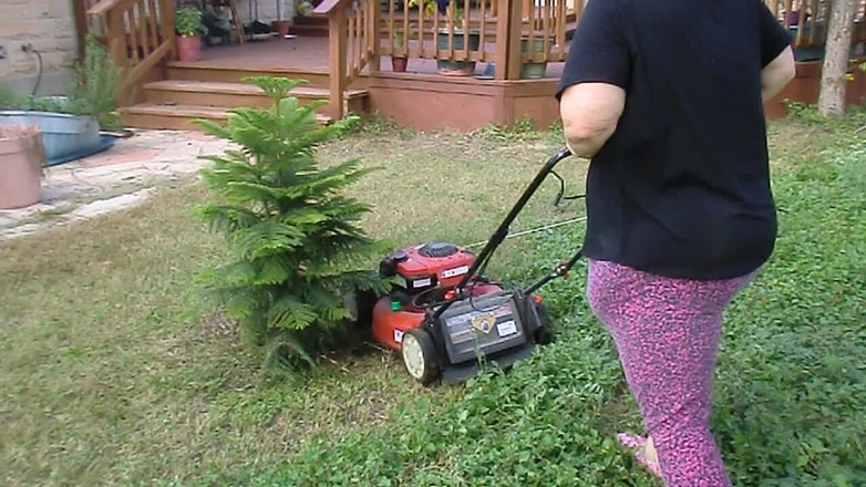 BBW nurse Vicki adventures with friends: Jururawat Vicki Mowing Grass berpakaian kemudian bertelanjang atas