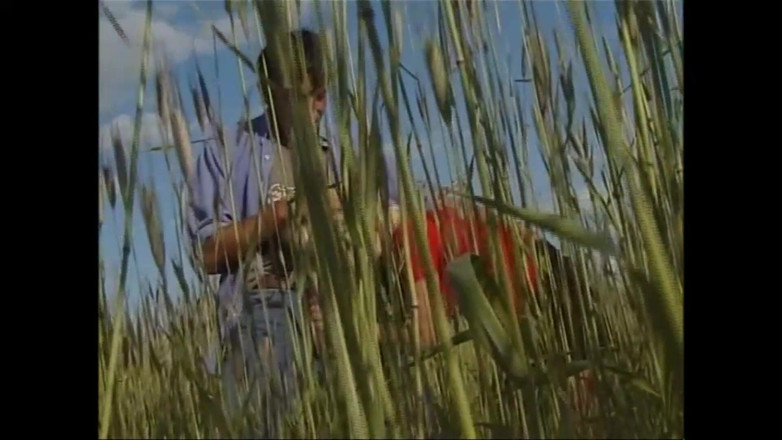 Purzel Official: Te estoy en el campo