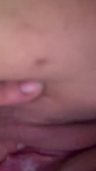 Ma Gros Chatte