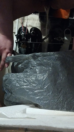 Raven Starlight: Zoufalé chcaní do tašky