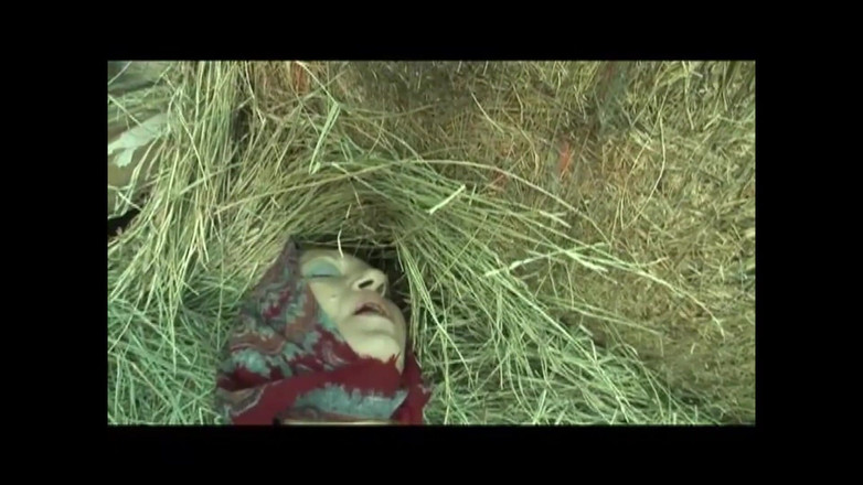 The hunters TV - (The best full movies xxx): Orhidea si Pelacur Babi (film)