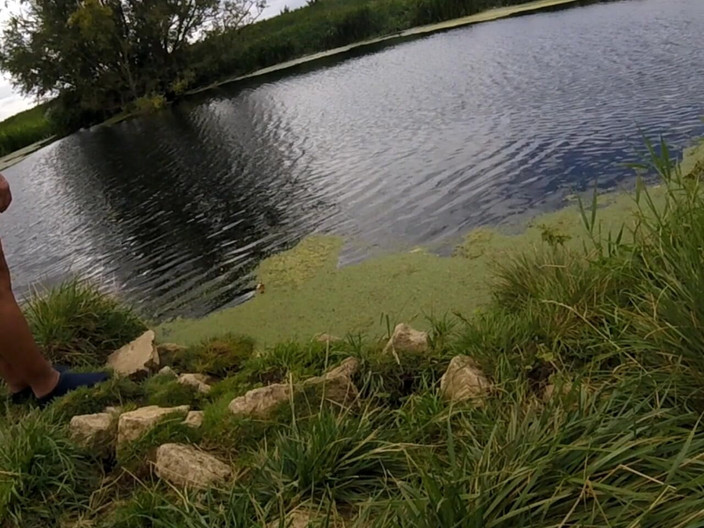 Andy: Procházka 61 2025