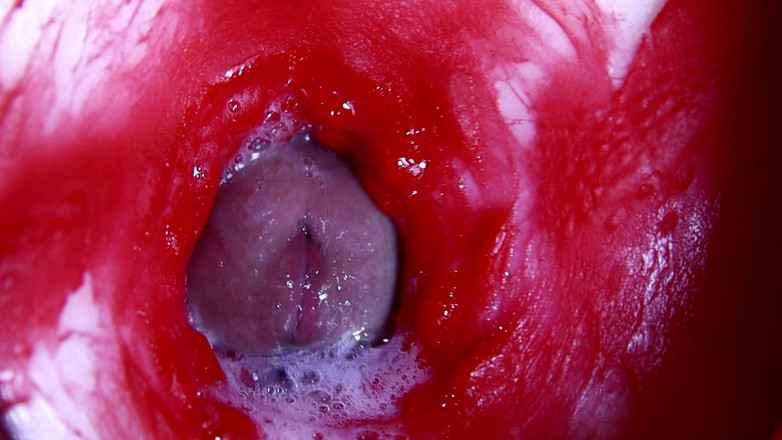 SEXY_GUYBEST: Quente molhado buraco sexy e pau grande e desleixado