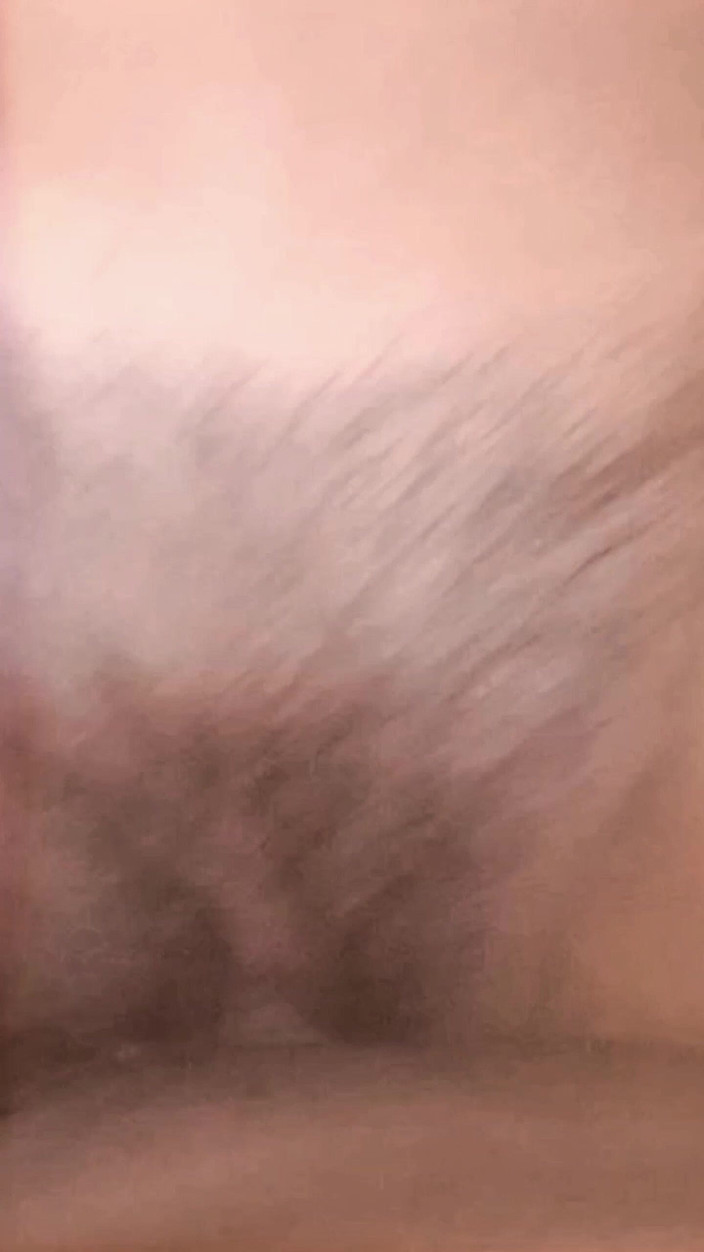 Jhon Hamster: Lubi ssie