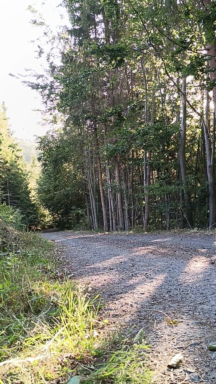 kickerscooter: Penunggang skuter melancap di luar