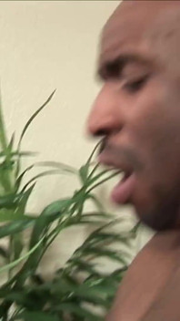 Huge ebony chick gets deep plowing from her friend