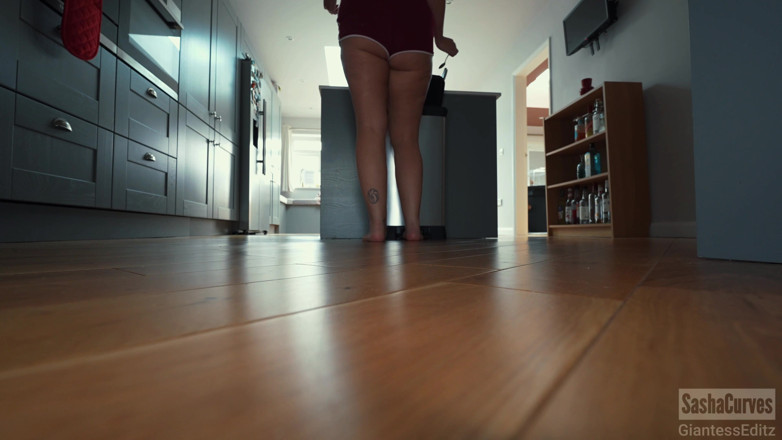 Sasha Curves: The Giantess and the Plumber