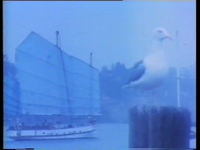 Vintage megastore: American Vintage Full Movie screams for Pleasure