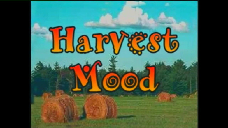 Heatwave Gay: Gay zábava první, část 1