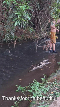 Strangers Are Caught Having Sex at the Waterfall.
