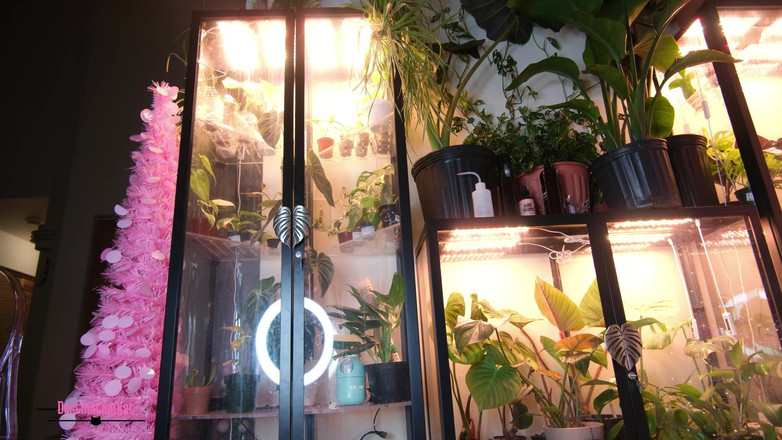 Destination Kat: Decoración de árbol silenciado