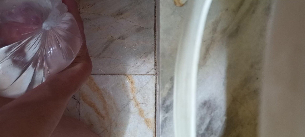 Shayan Deniz: Solo Shower Play with Realistic Sex Toy | POV Masturbation