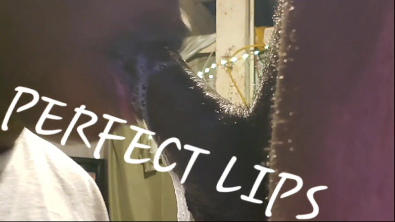 MS Perfect Lips: Ідеальні губи змусили його розбити жорсткий горіх! Від її неохайно глибокого заглоту його члена