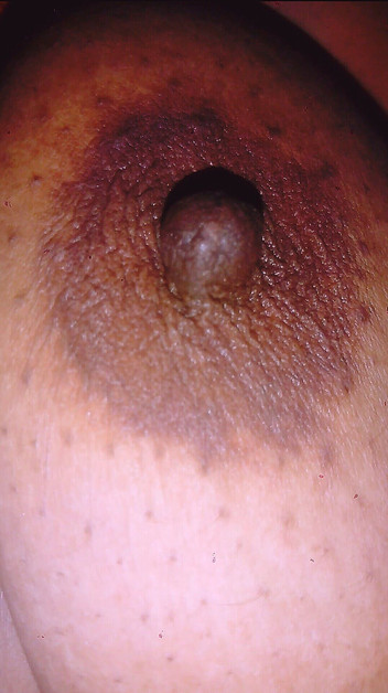 Indian aunty sex: Makcik Gita menunjukkan buah dada besar dan pepek besar 2025 bahagian...