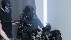 RubberTFD: El laboratorio de extracción de gimp