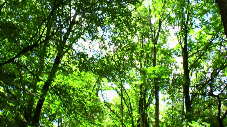 German Full Movies: Best of German Private Videos - Top Echte Amateur-paare in Intensiver...