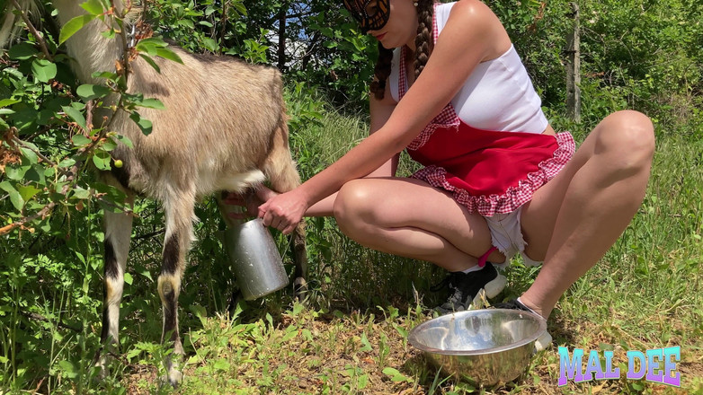 Malaya_Darcie: 自制奶酪
