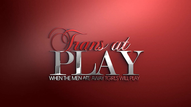 Trans 500: All About Estela