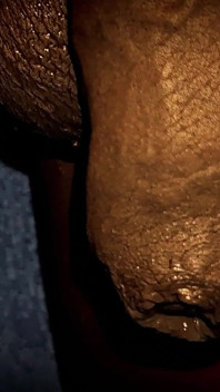 Soft Uncut BBC Slow Motion Close up