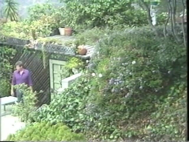 Old Good Porn: Busty babe slips fingers deep inside her pussy while on...