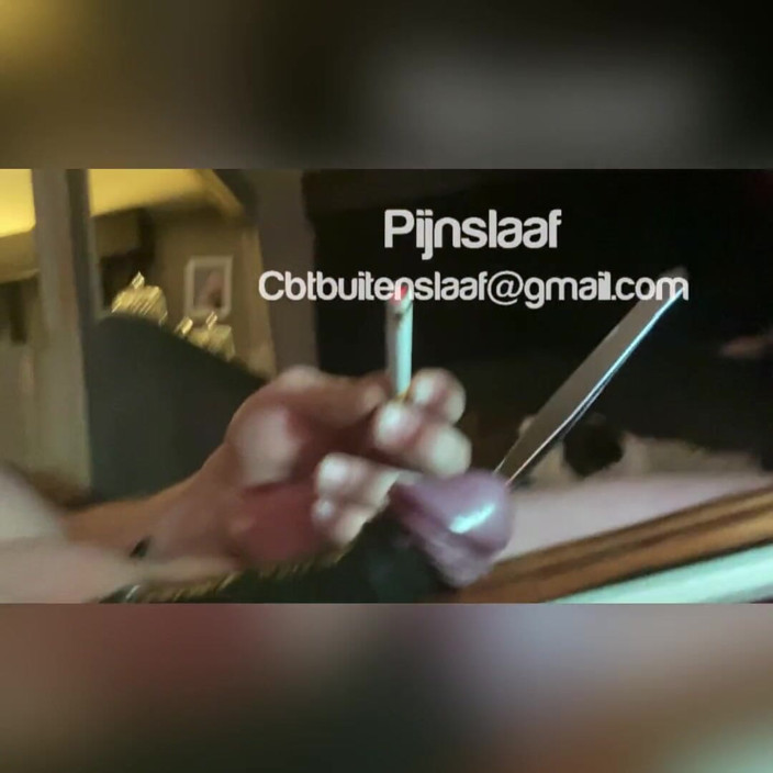 No limit cbt slave: Kelipan seksaan zakar dengan kapas