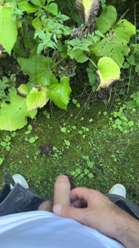 Golden Stream: Peeing in Paradise