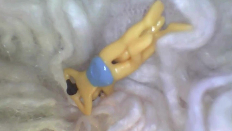 Maeling: Tiny Gay Lover Stuffed in Oily Anal - Giantess Ass 