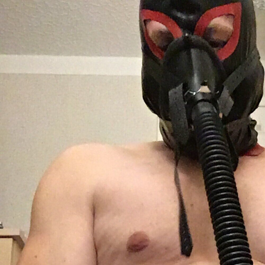 Faphouse